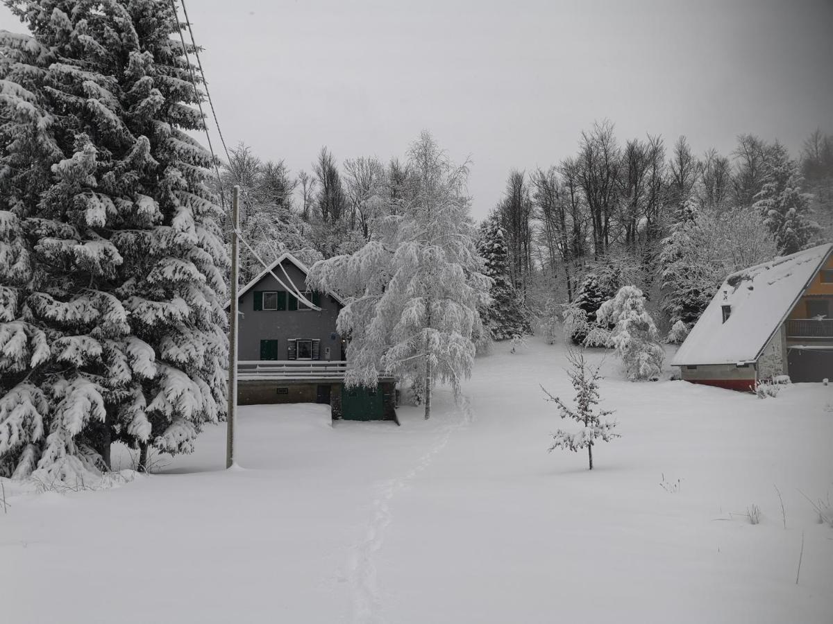 Patagonia Tatil Evi *